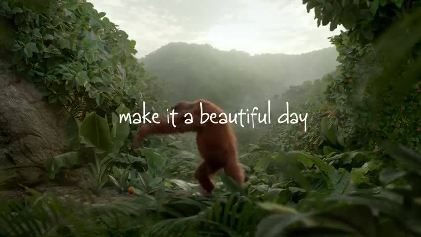 btflday